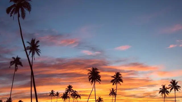 Best Time to Visit Suva