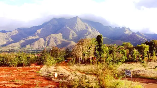 Things to Do in Morogoro