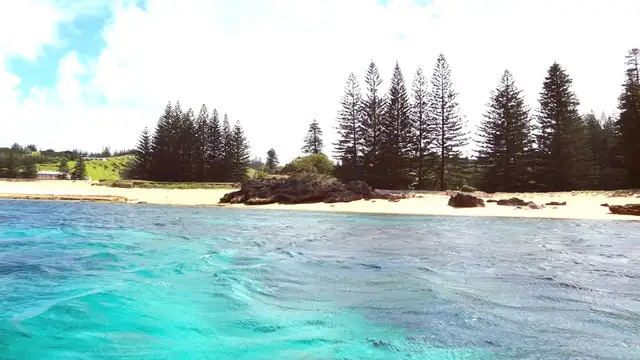 Best Time to Visit Norfolk Island