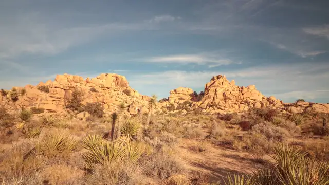 Getting Around Joshua Tree National Park