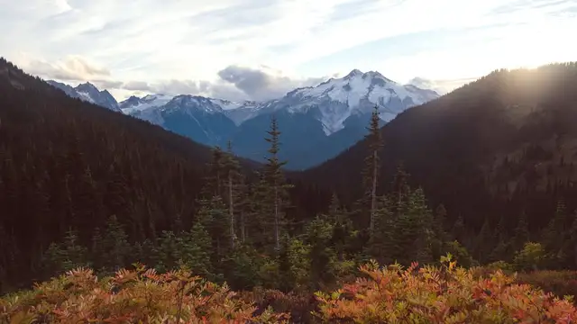 What to Pack for Olympic National Park