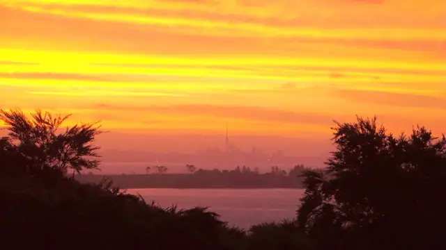 Waiheke Island Travel Checklist