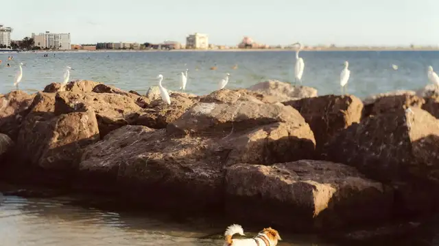 Things to Do in St Petersburg