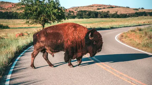 Where to Stay in Buffalo