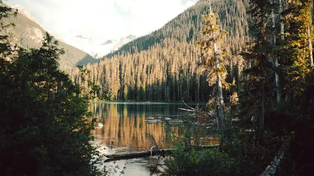 Best Time to Visit Kelowna