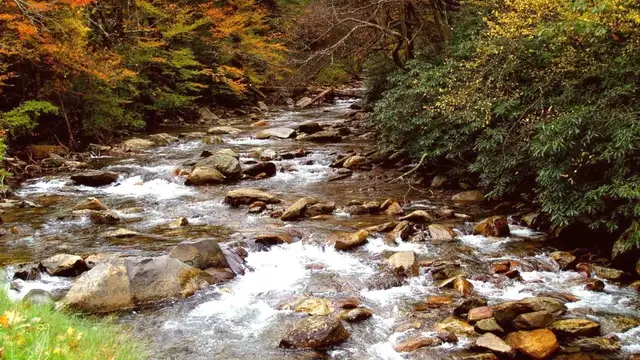Great Smoky Mountains Travel Tips
