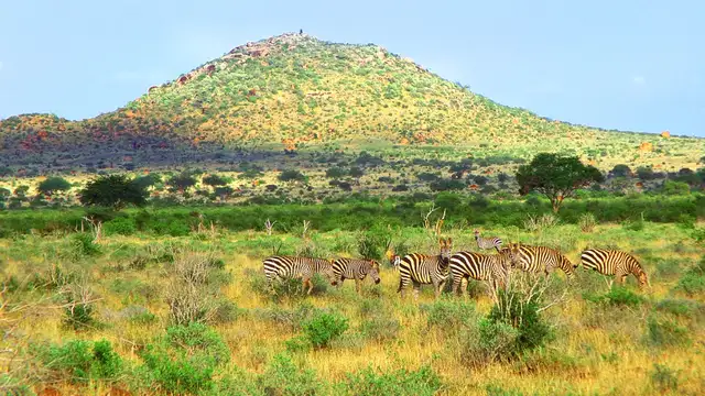 Why Visit Masai Mara? Inspiration, Culture, Unique Experiences