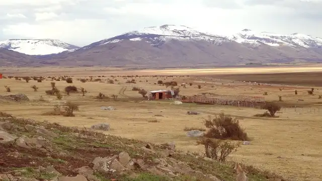 Best Restaurants in El Calafate