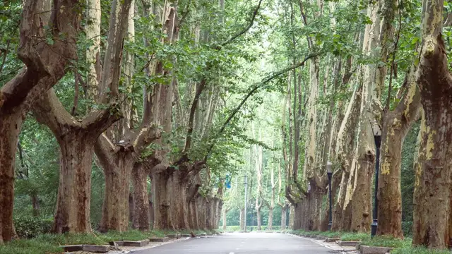 What to Pack for Nanjing