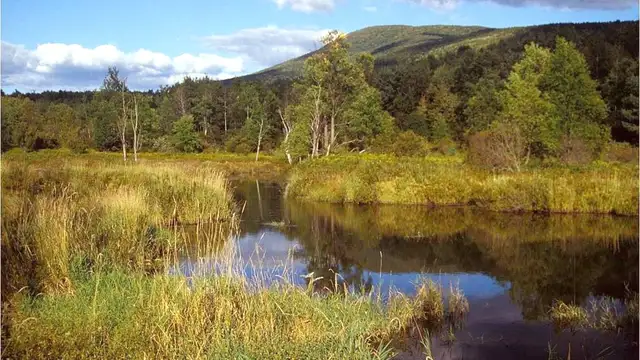 Famous Landmarks in Catskills