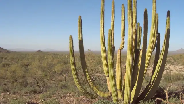 Day Trips from Sonora