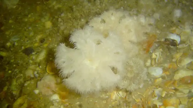 Best Time to Visit Isle of Man