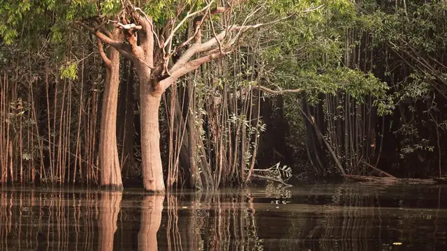 Leticia Travel Checklist