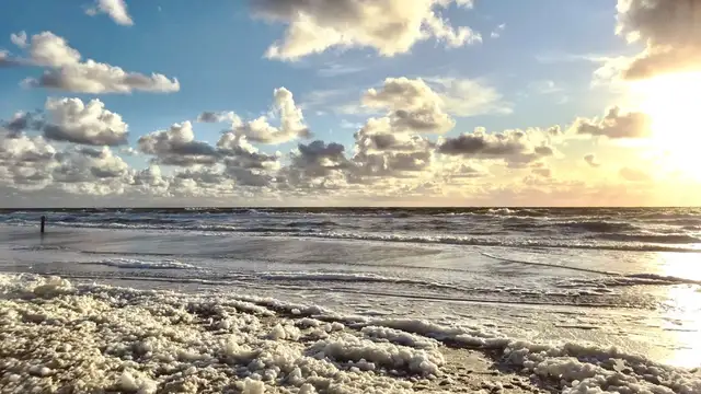 Texel Travel Checklist