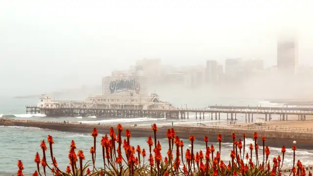 How to Get to Mar Del Plata