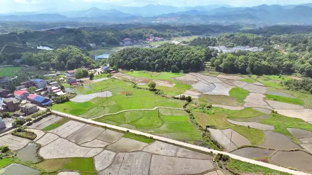 Best Restaurants in Pingxiang