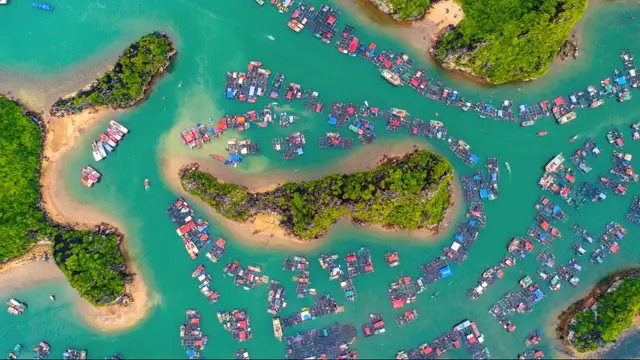 Cat Ba Island Travel Guide Overview