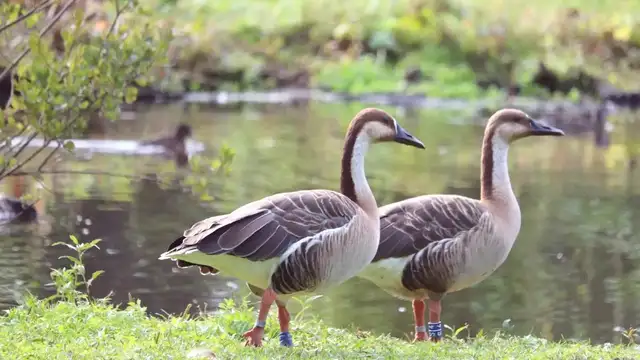 Day Trips from Yancheng