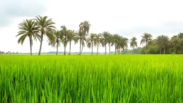 Khulna Travel Checklist