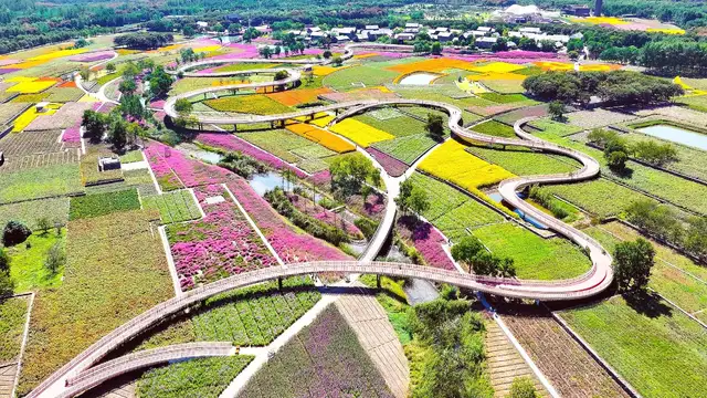 What to Pack for Suqian