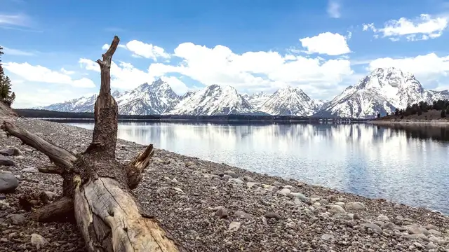 Jackson Hole Travel Tips