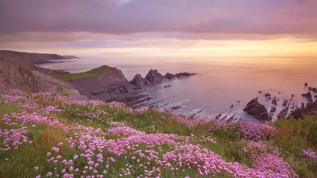 Things to Do in Plymouth