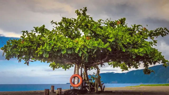 Where to Stay in Baguio