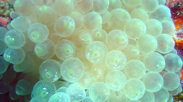 Sustainable Travel in Chuuk