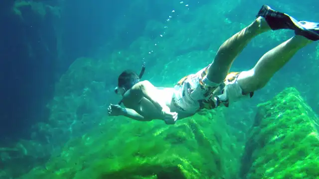 Best Restaurants in Puerto Morelos