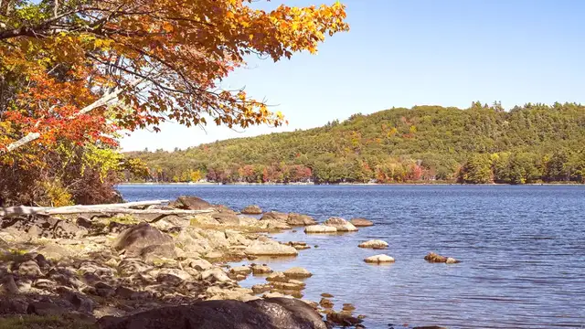 Why Visit Midcoast? Inspiration, Culture, Unique Experiences