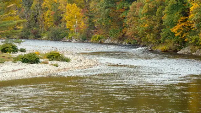 Sustainable Travel in New Haven