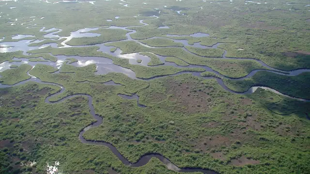 Everglades National Park Travel Tips