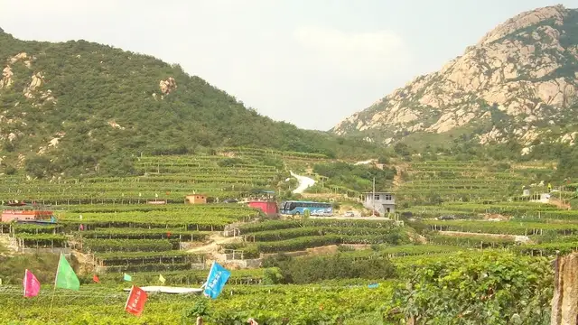 Best Restaurants in Pingdu