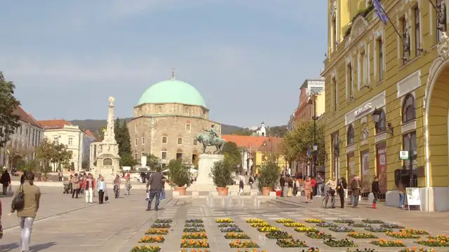 What to Pack for Pecs