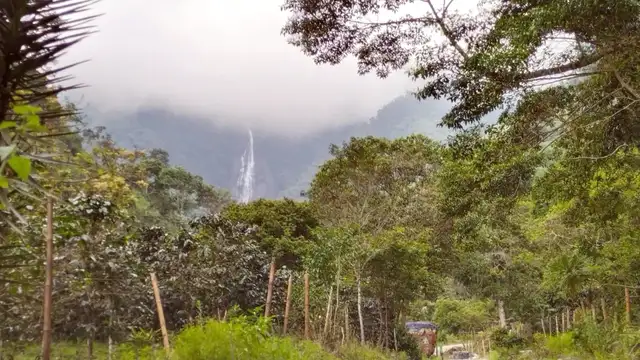 Things to Do in Ibague