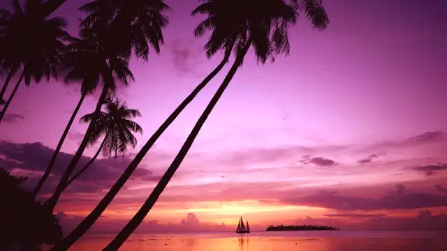 How to Get to Tahiti