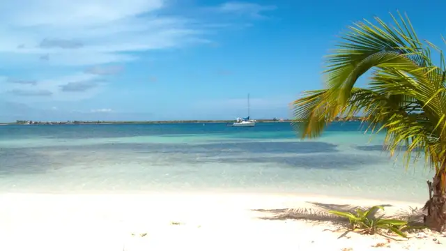 Best Time to Visit Utila