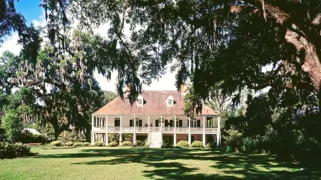 Things to Do in New Orleans