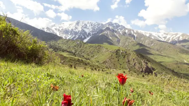 Getting Around Shymkent