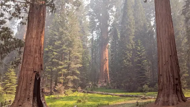 Why Visit Sequoia National Park? Inspiration, Culture, Unique Experiences