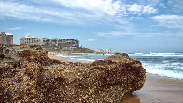 Sustainable Travel in Newcastle