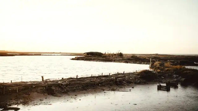 Arcachon Travel Hacks