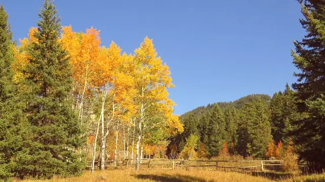 Bighorn Mountains Travel Resources