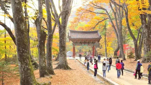 Things to Do in Goyang-si