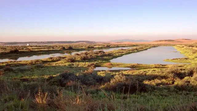 Best Restaurants in Cadiz