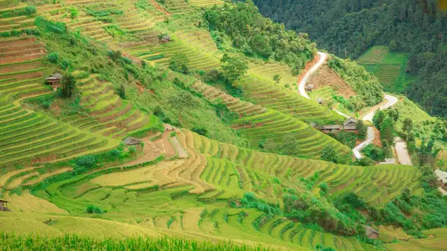Sapa Travel Guide Overview